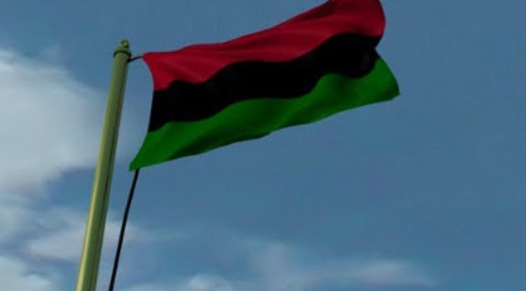 A Warning to Black America, Seek Refuge Now