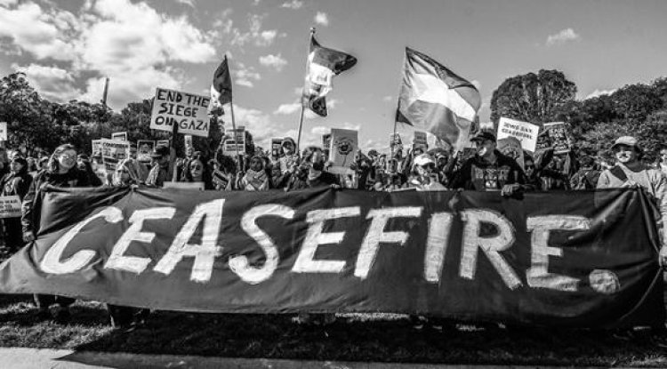 Black Americans’ Support for Palestinians Growing as Israel War Rages