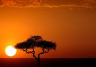 Africa Has Always Been In The Bosom Of God
