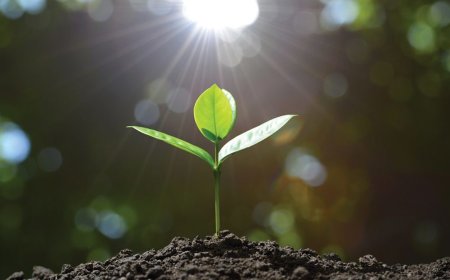 What Jesus Says About Tithing