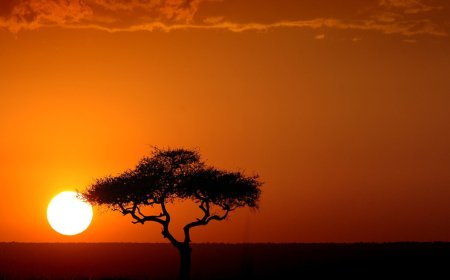 Africa Has Always Been In The Bosom Of God