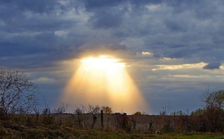 For Those Who Do Not Believe in God