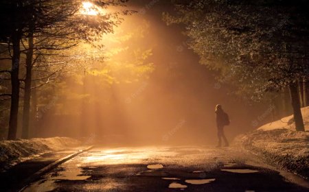 The Path of True Discipleship is a Lonely One