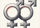 The Fake Victory of the Male – Female Executive Order