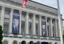 Face the Midterm Reality: There Will Be No More Fair Elections